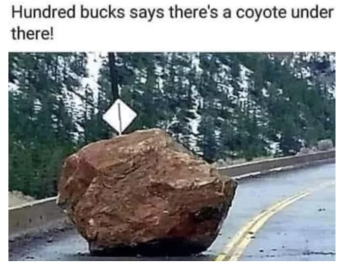 679823af9429e.png