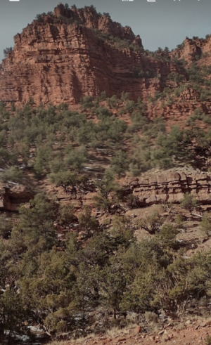 Screenshot_20250127-181313-453.png