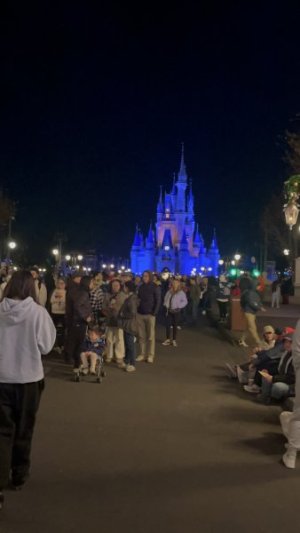 Castle at night.jpeg