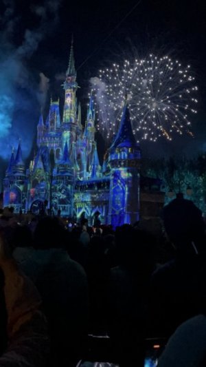 Fireworks1.jpeg