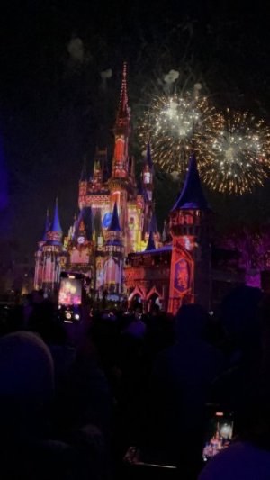 Fireworks2.jpeg