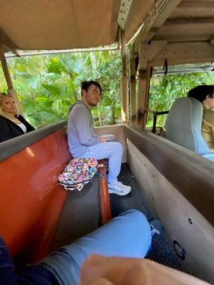 Safari Seat.jpg