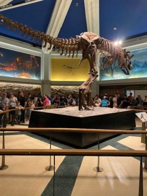 Dinosaur.jpg