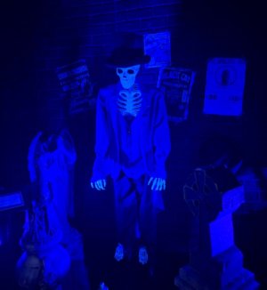 IMG_5902.jpeg
