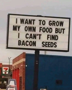 1738290621650.png
