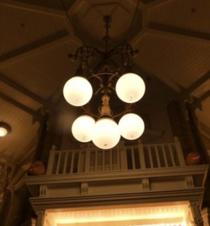 IMG_6413.jpeg