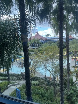 IMG_8722.jpeg