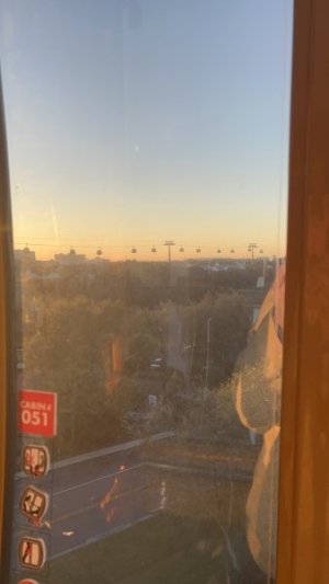 skyline view.jpeg