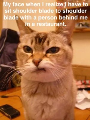 IMG_0913.jpeg