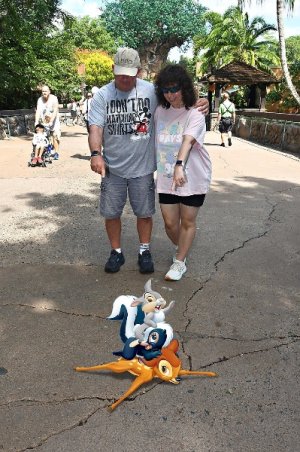 IMG_1787.jpeg IMG_1787.jpeg