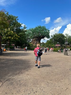 IMG_1739.jpeg