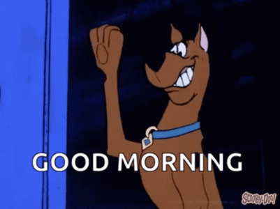 IMG_4922.gif