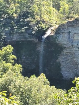 20200612_143225[1].jpg