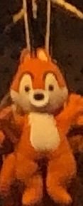 IMG_9707.jpeg