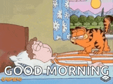 IMG_4929.gif