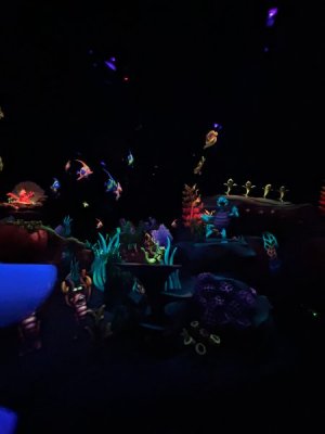 IMG_4561.JPEG