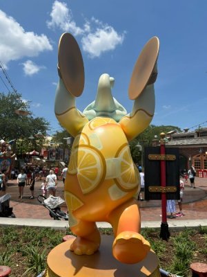 IMG_4574.JPEG
