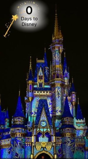 IMG_4587.JPEG