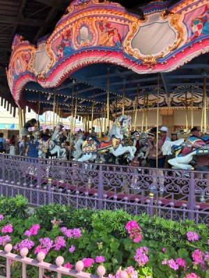 IMG_4592.JPEG