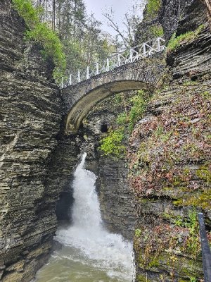 20230503_094037[1].jpg
