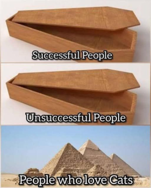 1738698980235.png