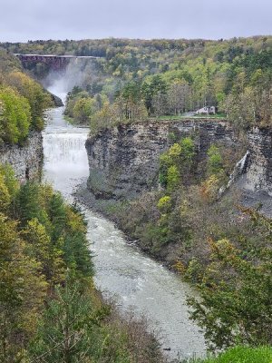 20230502_123312[1].jpg