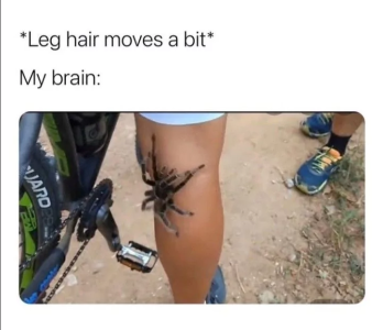 67a2ad8e1fe7f.png