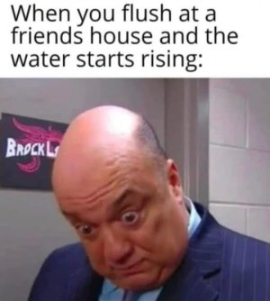 1738796060651.jpeg