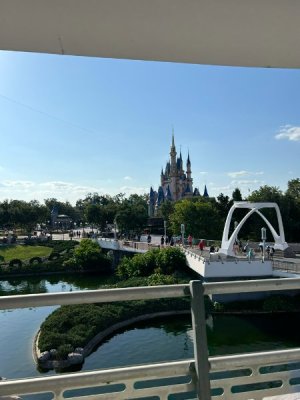 IMG_4620.JPEG