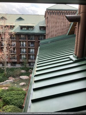 IMG_6010.jpeg