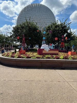 IMG_1807.jpeg