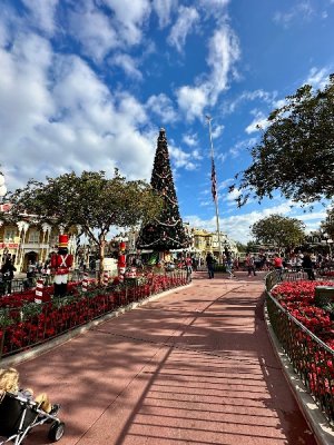 IMG_2025-02-07-181911.jpg
