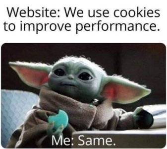 1739054352168.jpeg