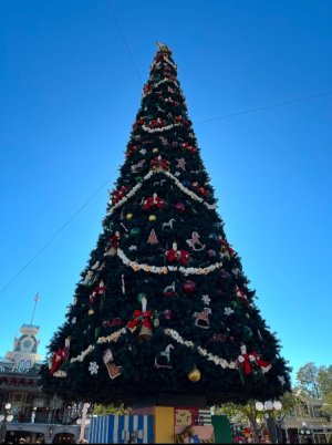 IMG_6016.jpeg