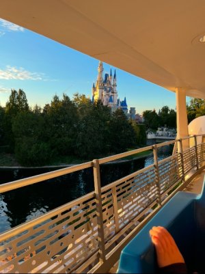 IMG_6035.jpeg