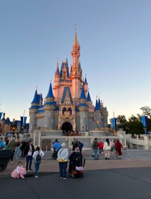 IMG_6036.jpeg