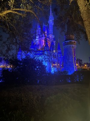 IMG_4137.jpeg