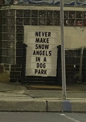 1739116436423.png