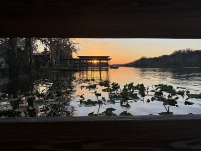IMG_6546.jpeg