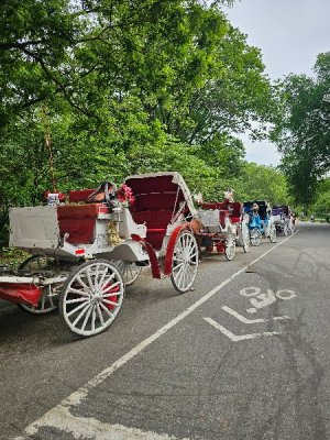 20230513_085230[1].jpg