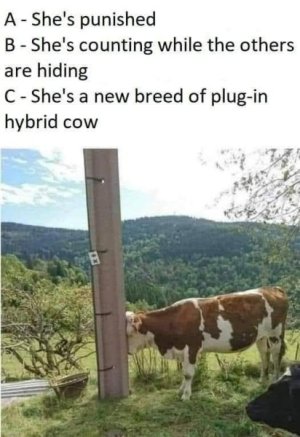 1ytzamfux0dp.jpg