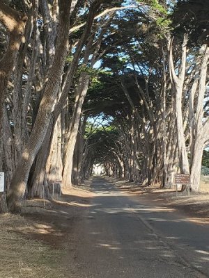 20190925_092709[1].jpg