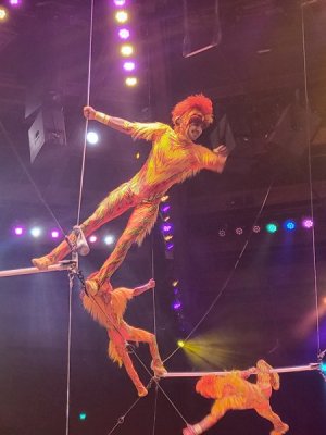 tumble monkeys.jpg