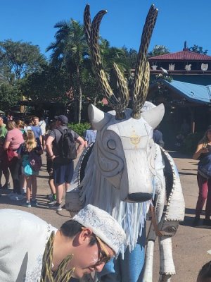 Magical Menagerie 2.jpg
