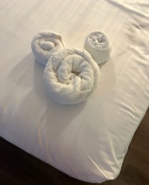 IMG_6051.jpeg