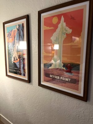 IMG_6054.jpeg