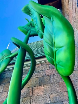 IMG_0311.jpeg