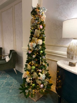 IMG_4827.jpg IMG_4827.jpg