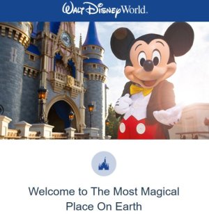 WDW SEP 2025 EMAIL.jpg