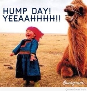 humptday.jpg